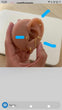 Translation missing: es.sections.featured_product.gallery_thumbnail_alt