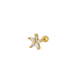 Piercing Dubai Gold