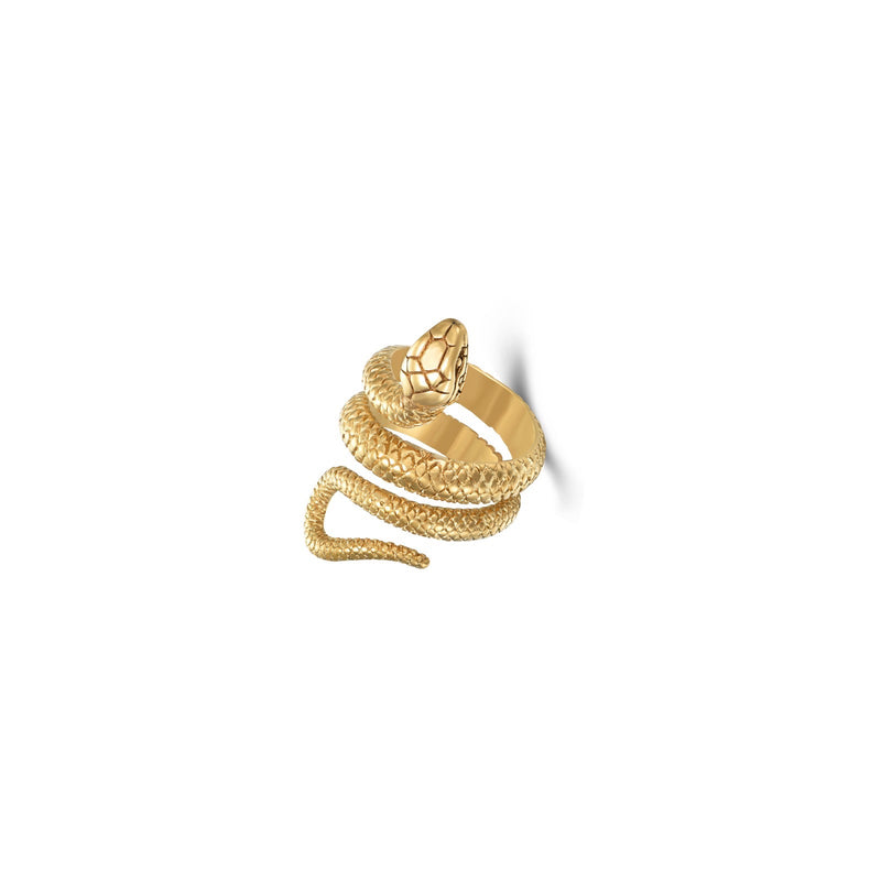 Anillo Wild Snake
