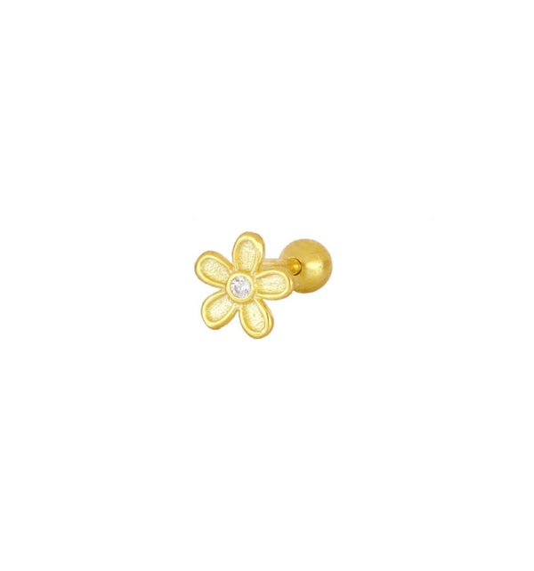 Piercing Spring Gold
