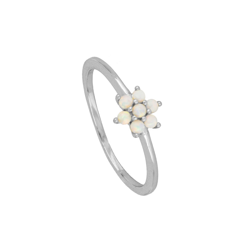 Anillo Daira Silver