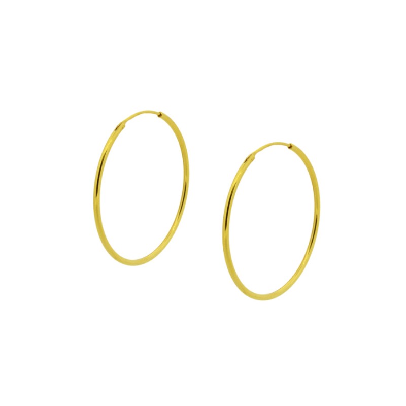 Neux Gold Hoops Earrings